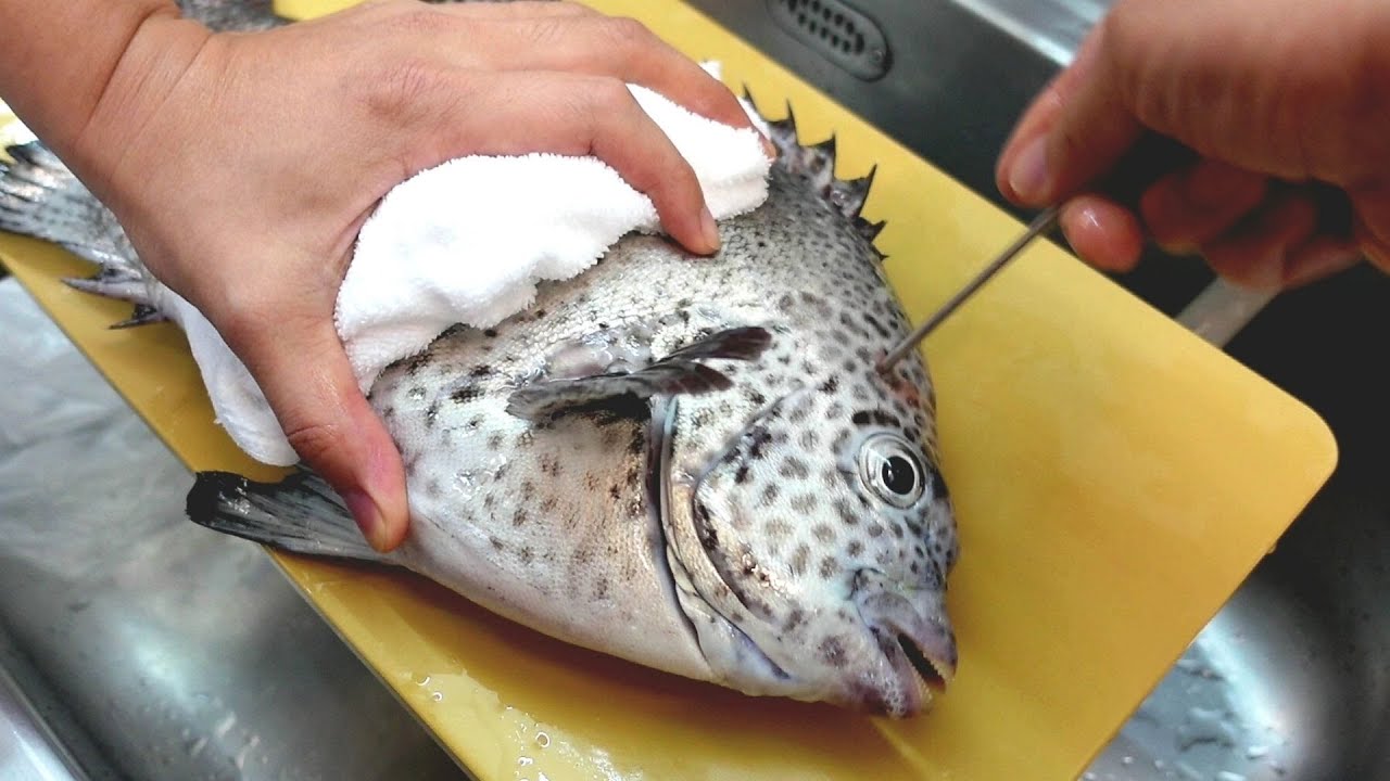 Полосатый клюв икедзимэ выдержка 5 дней