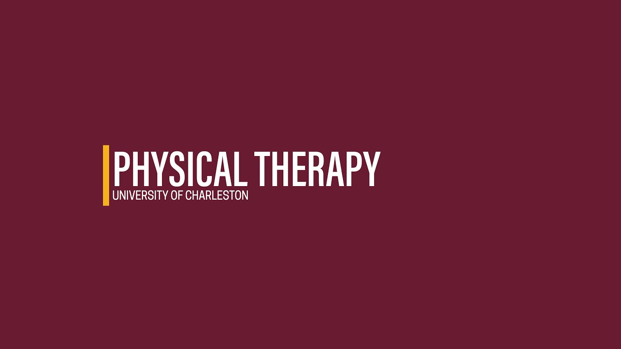 Inside the Program | Physical Therapy
