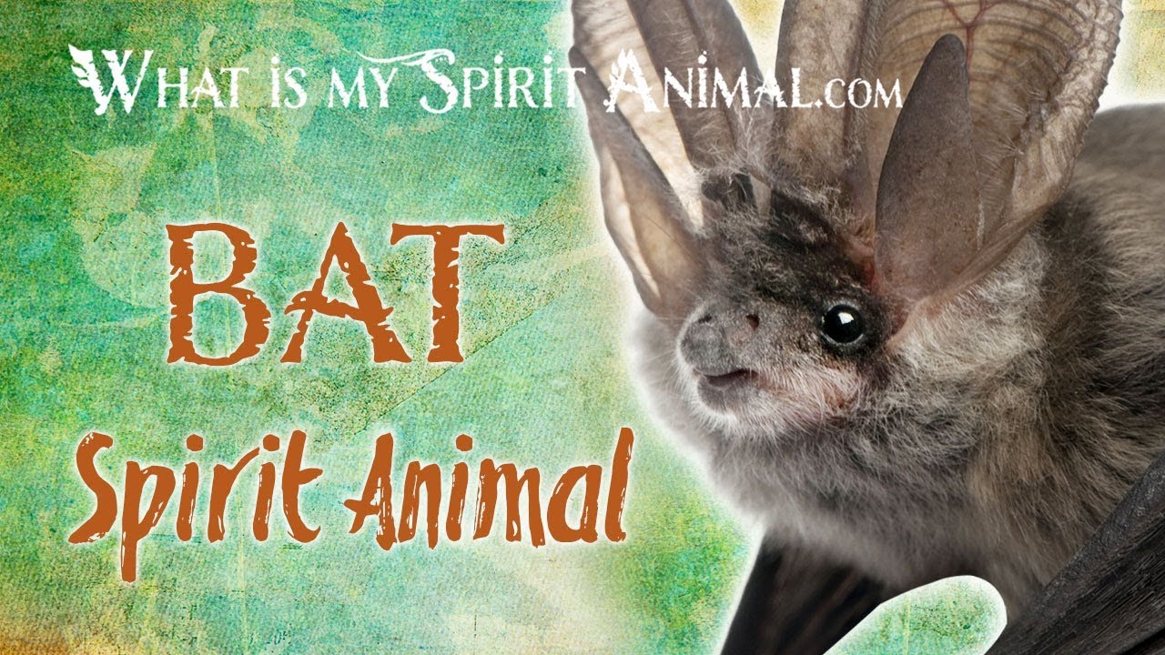 Bat Spirit Animal | Bat Totem & Power Animal | Bat Symbolism & Meanings
