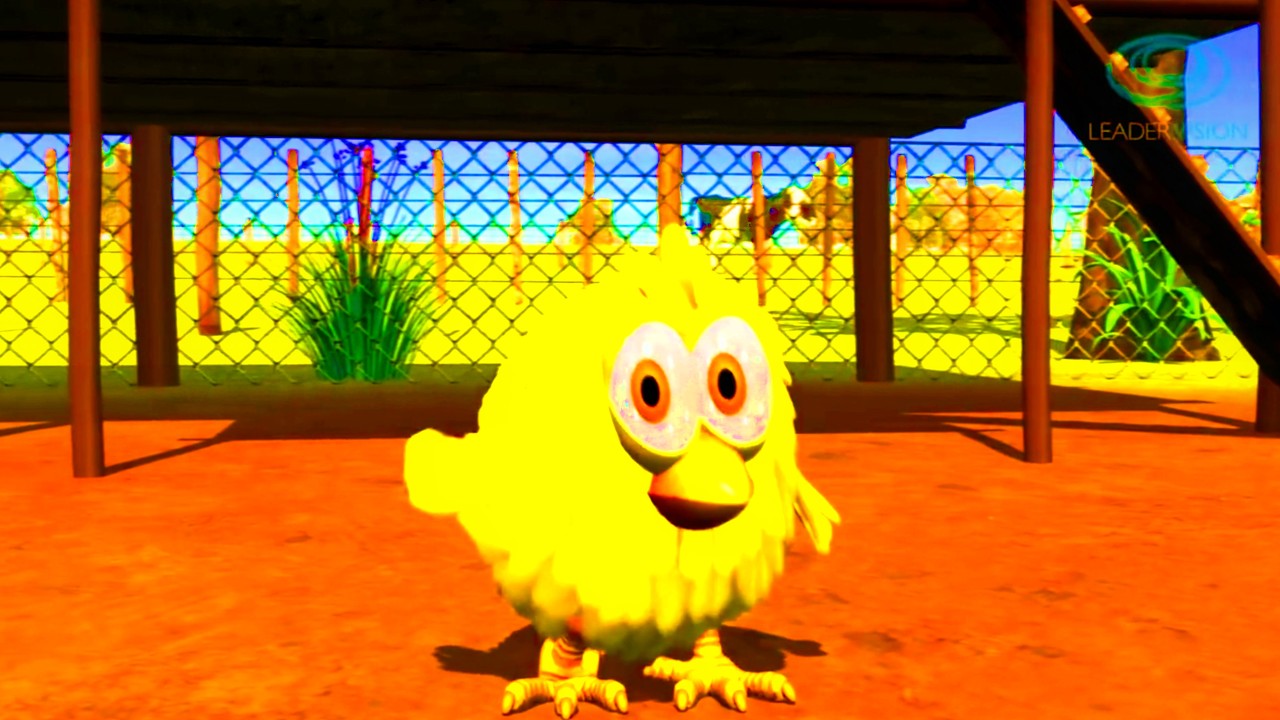 The little chick scratch in the ground (Sponsored by Gamavision)