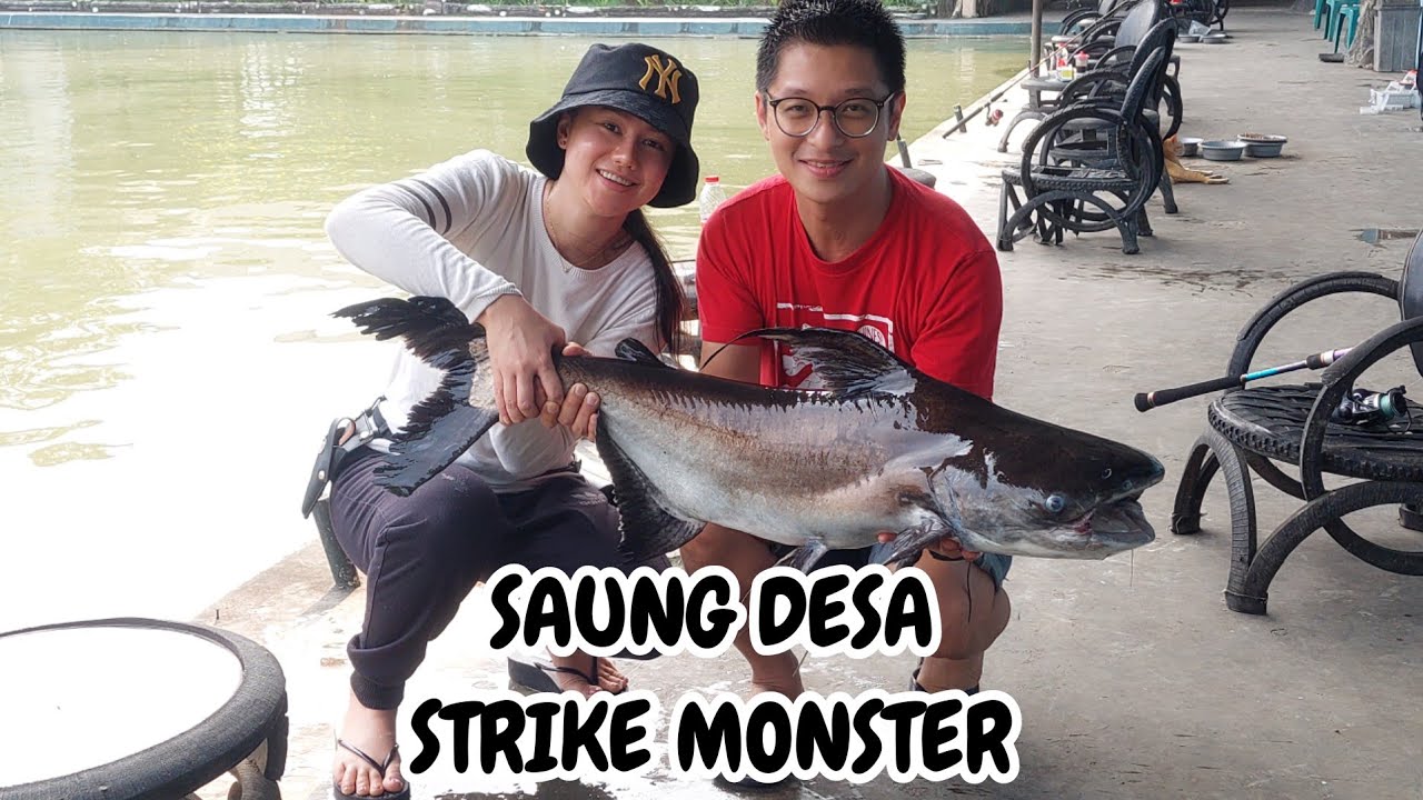 BIG FISH STRIKE SAUNG DESA!!