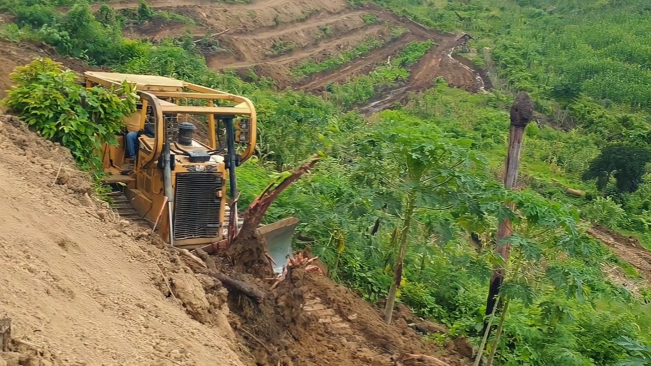 High Risk Work the CAT D6R Xl Bulldozer Operator Builds Terraces on Highland Plantations