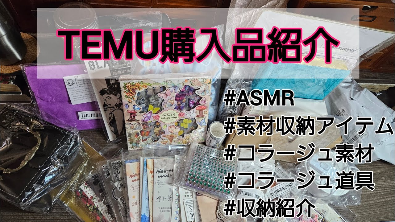 【TEMU購入品紹介×ASMR】