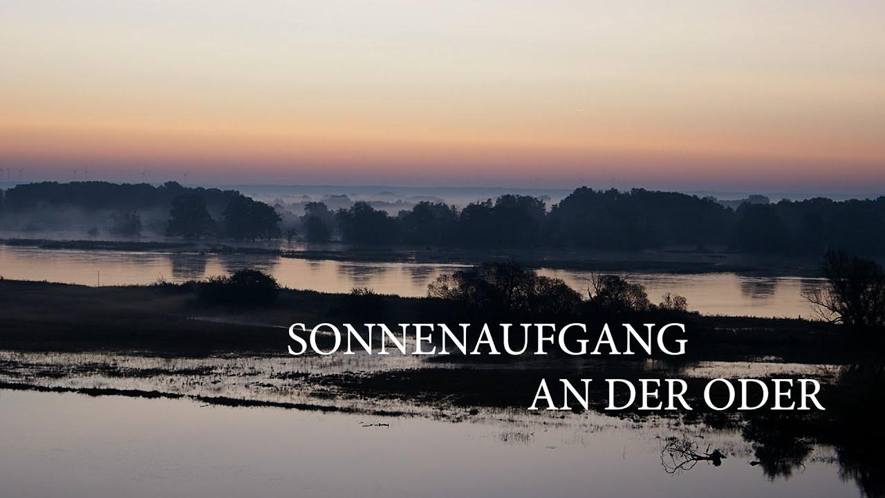 Sonnenaufgang an der Oder ...