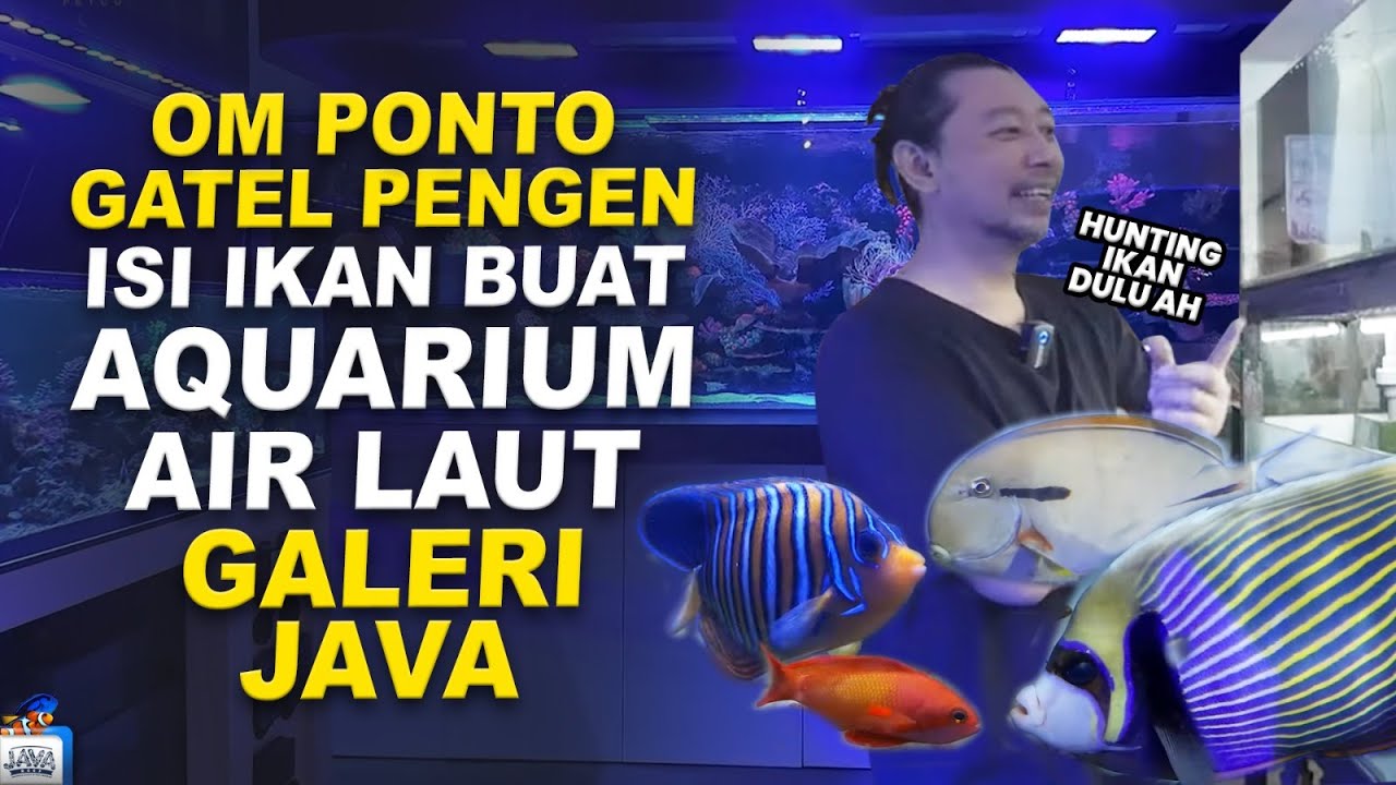 HUNTING IKAN AIR LAUT BUAT GALERI JAVA REEF