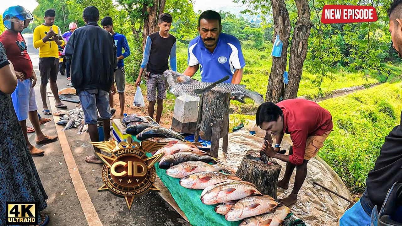 क्यों बनना पड़ा CID Team को मछली बेचने वाले? | CID | सीआईडी | Crime Series | New Episode 2026
