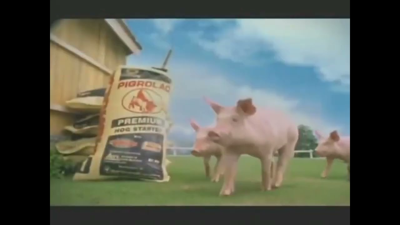 Pigrolac Premium Hog Starter Feeds Plus TVC ( 2007 - 2018 ) 48s - Philippines