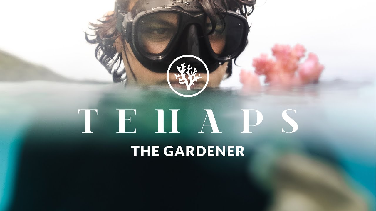 Tehaps the Gardener