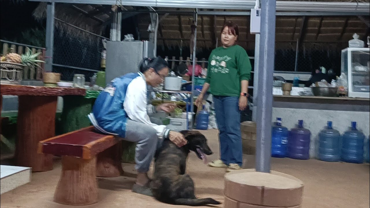 สด   ตุ้มโฮมยามแลง