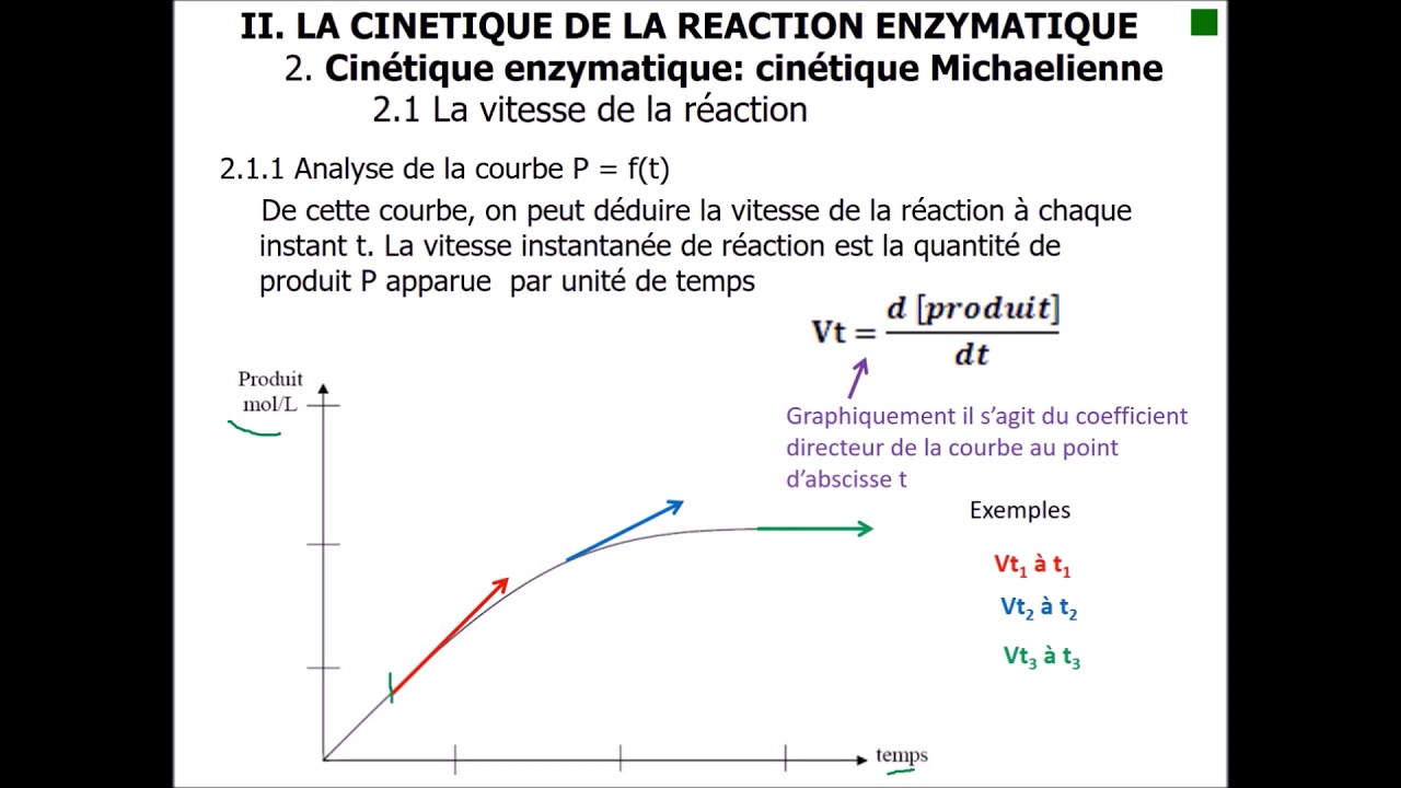 La vitesse initiale de la réaction enzymatique PM