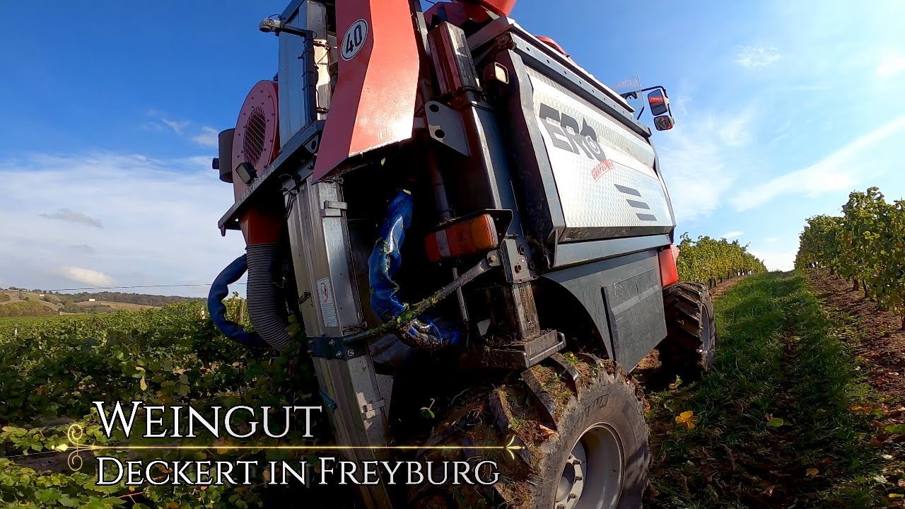 Weinvollernter: ERO Grapeliner SF-200  Weingut Deckert / Image Video NEU!  [color grading]