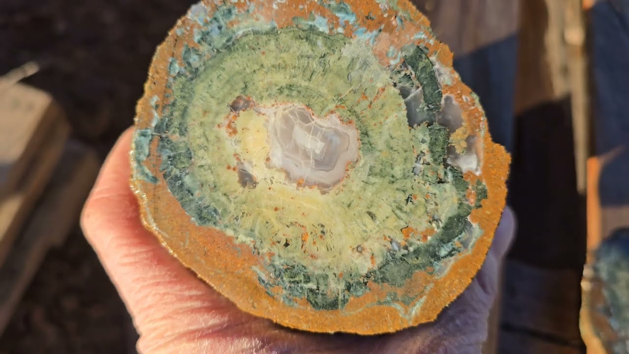 Эпическое отливное лезвие! Нашёл и разделал один из моих самых любимых окаменелых круглых кусков ...