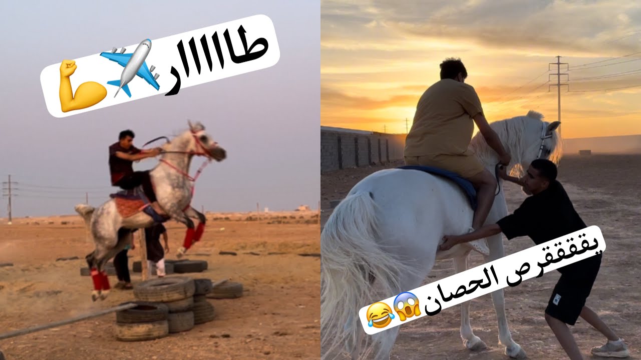فلوق🌟 فعاليات الشباب | ومحاولات القفز✈️🐎.