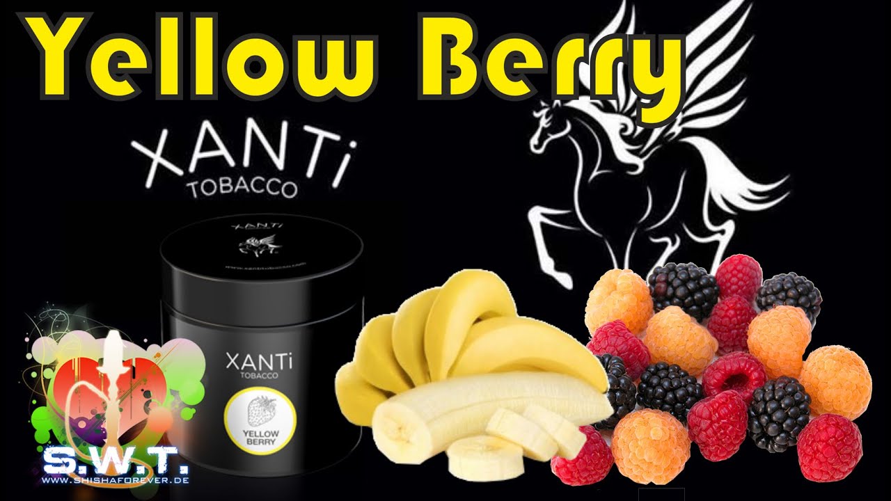 Xanti Yellow Berry - Babeere im Test