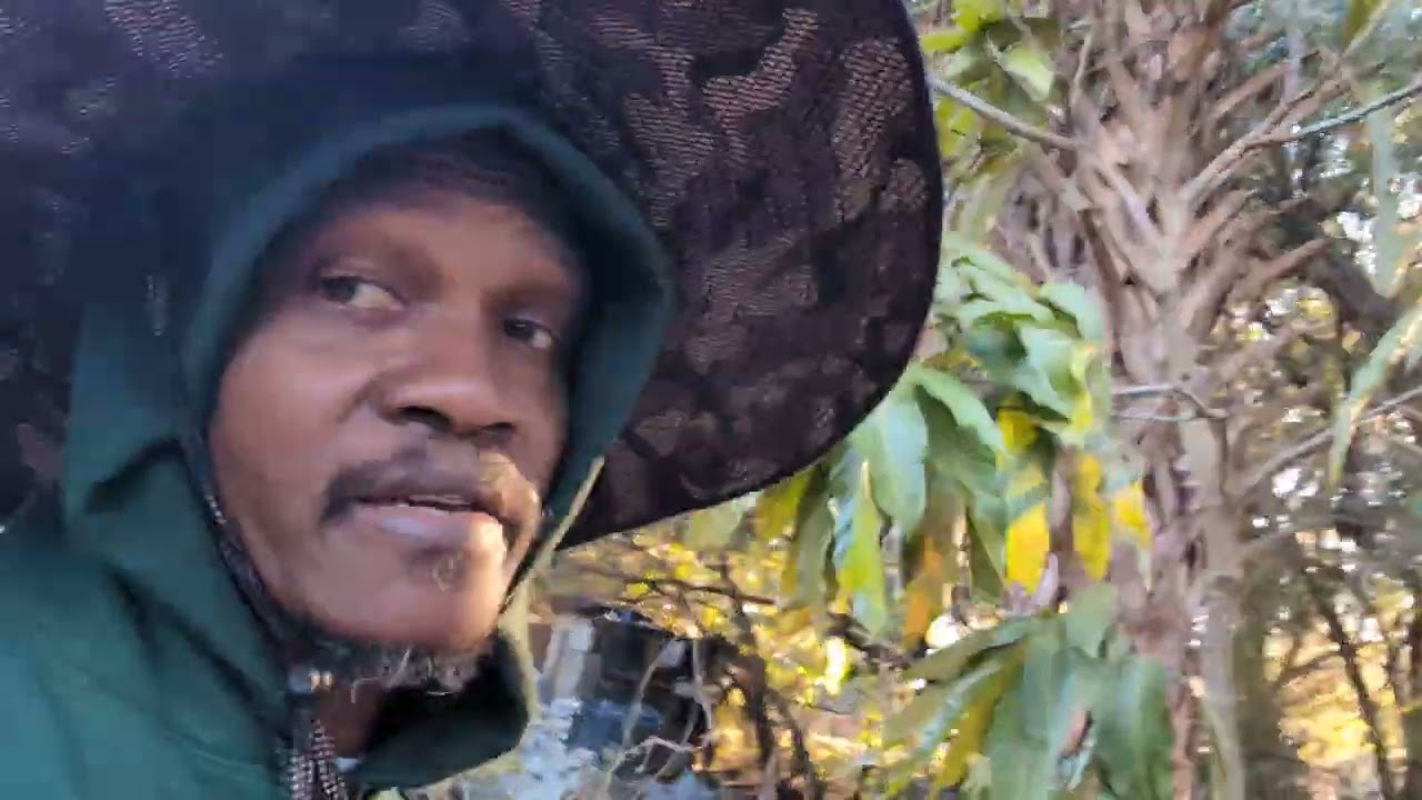 Вот 🍂 Наши 🍂Результаты 🍂🌡️