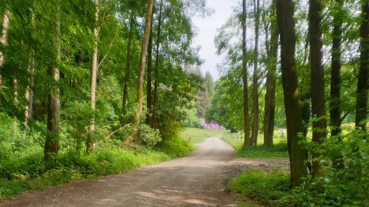 💖☀️Vlog Time: Fahrradtour/Mittagessen/Action Haul Tierpark,..💖☀️(unbezahlte Werbung)