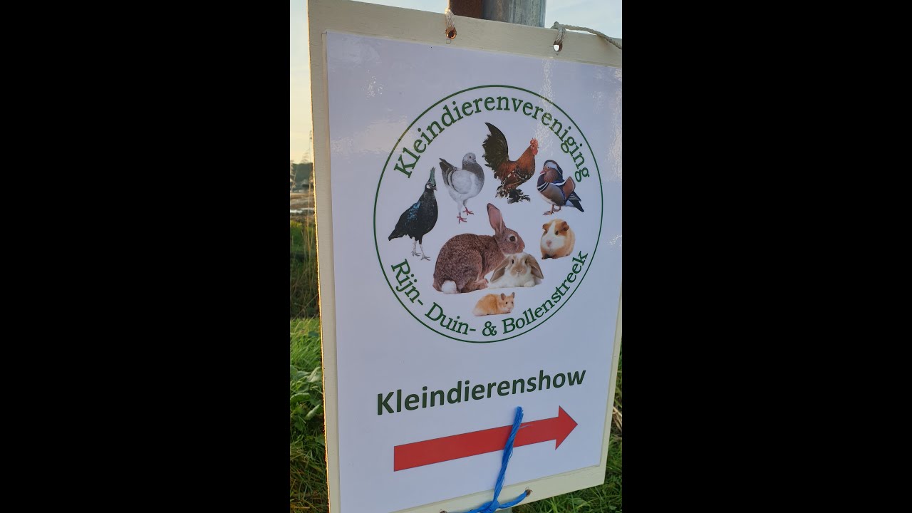 De Zwijnenstal bezoekt de kleindierenshow in Boskoop