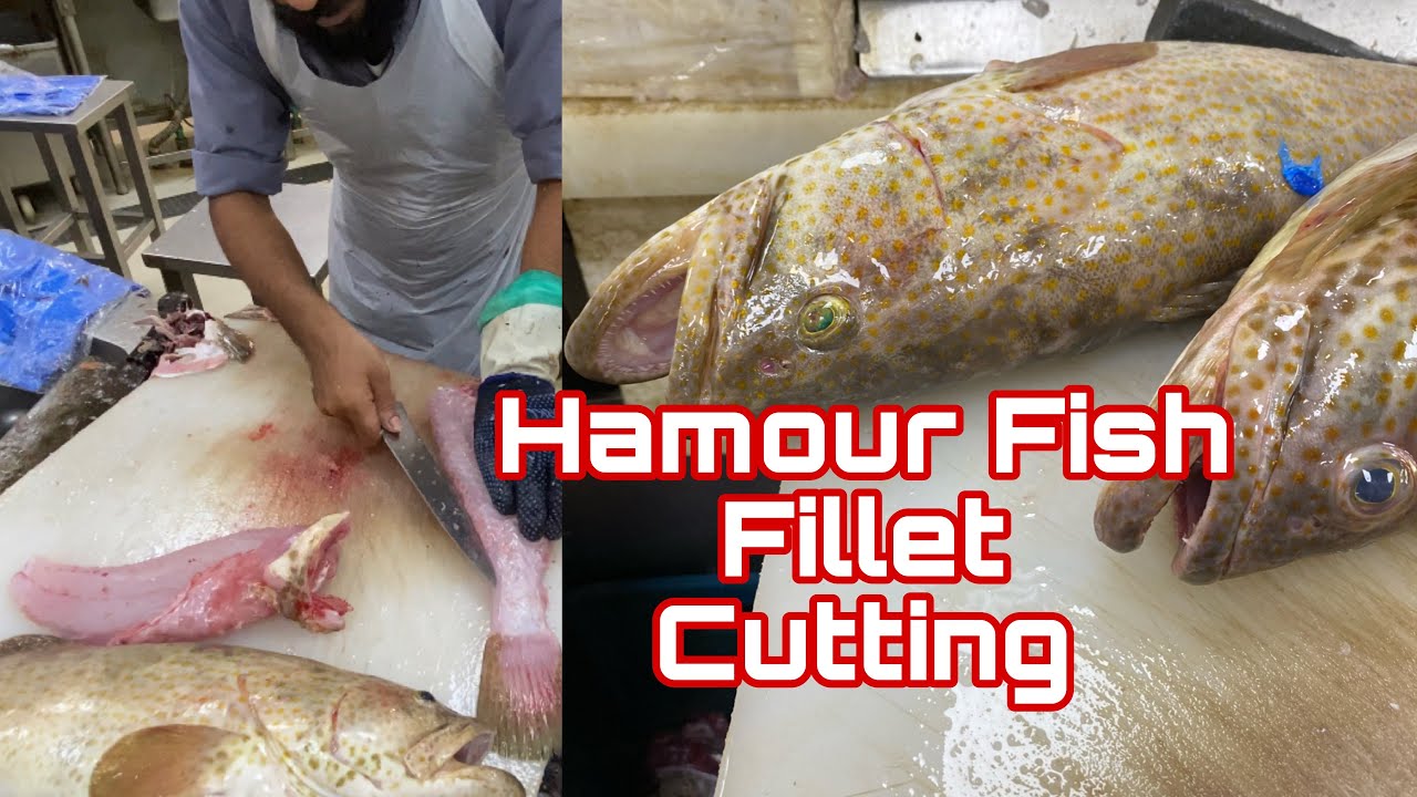 Hamour Fish Fillet cutting | hamour fillet | hamour cutting | how to fish fillet | fish | rak vlogs