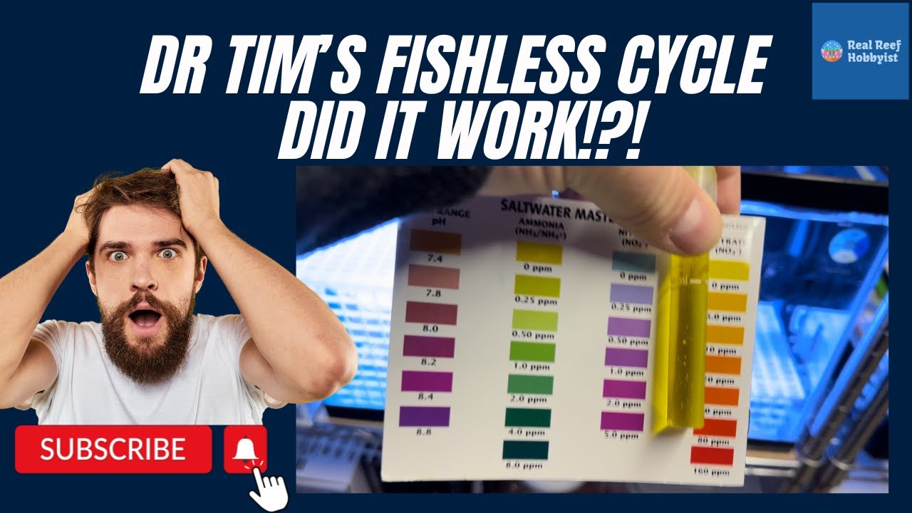 Dr Tim's Fishless Cycle - Did It Work?  Cycling a Frag Tank - EPISODE 2