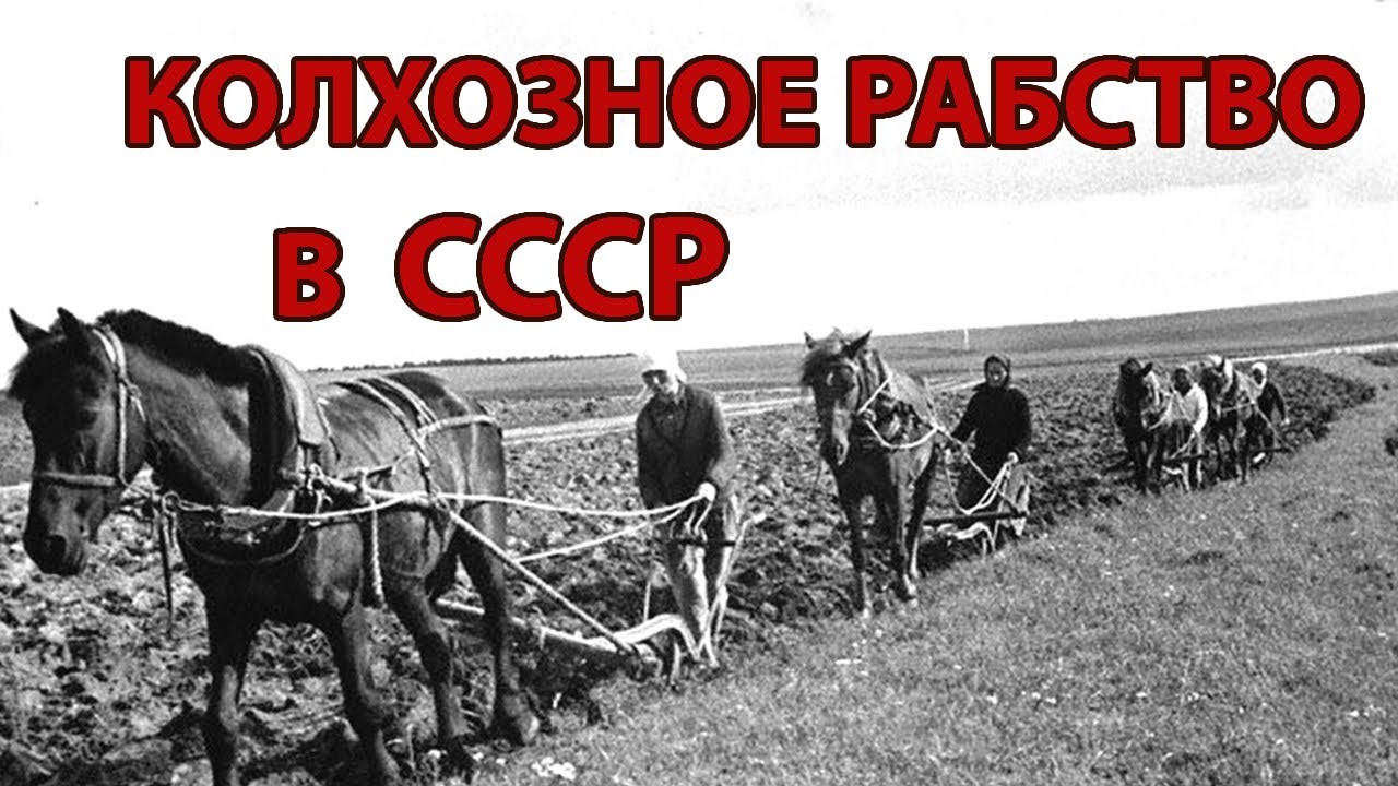 КОЛХОЗНОЕ РАБСТВО В СССР