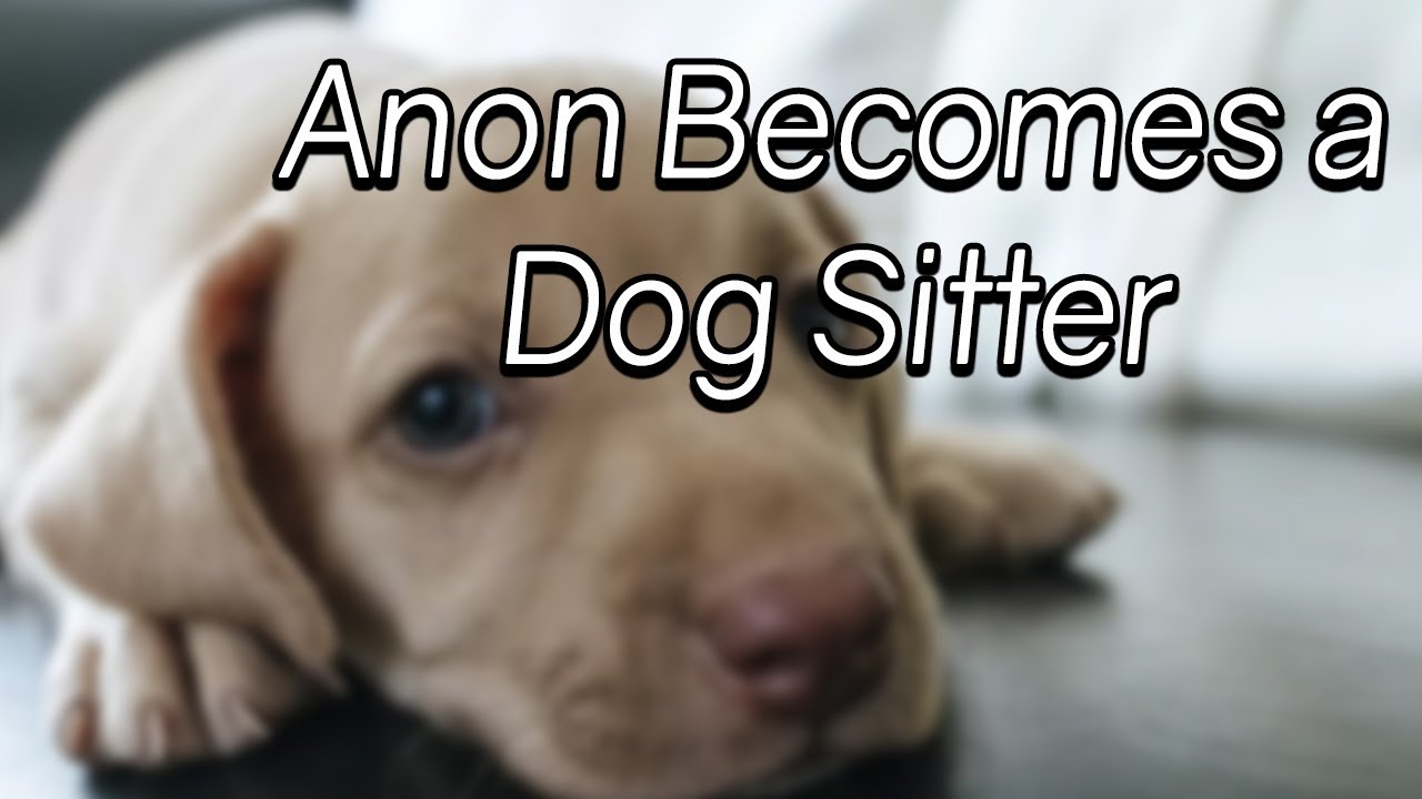 Anon Becomes a Dog Sitter