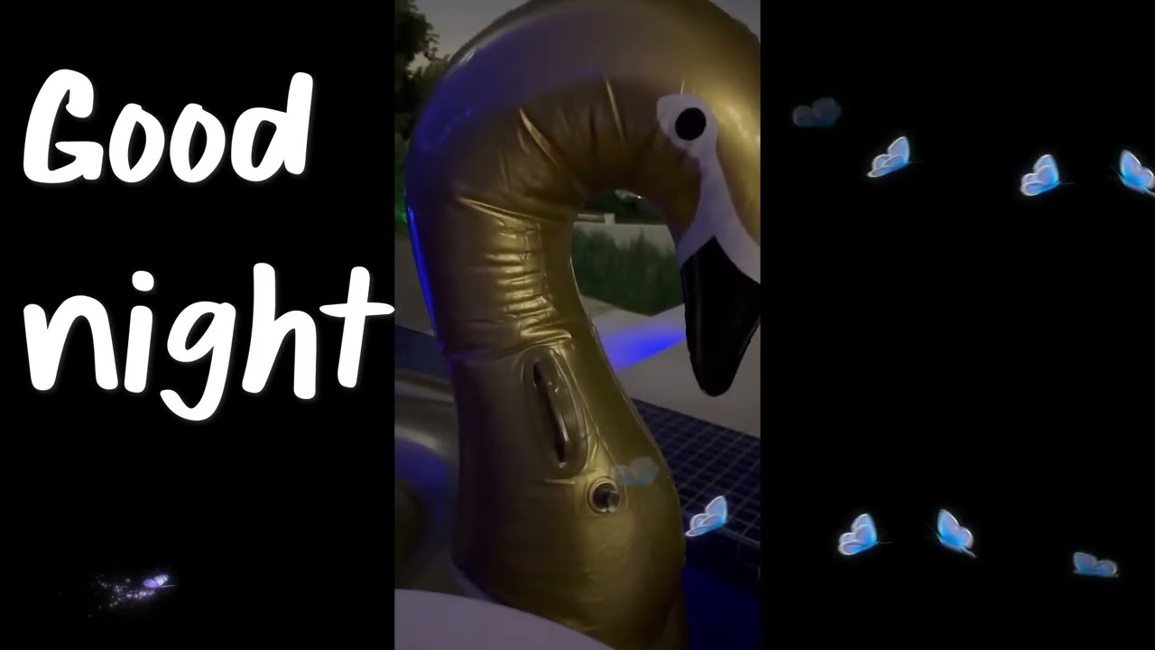 Dare2Dream Goodnight   Swan Cups of Love