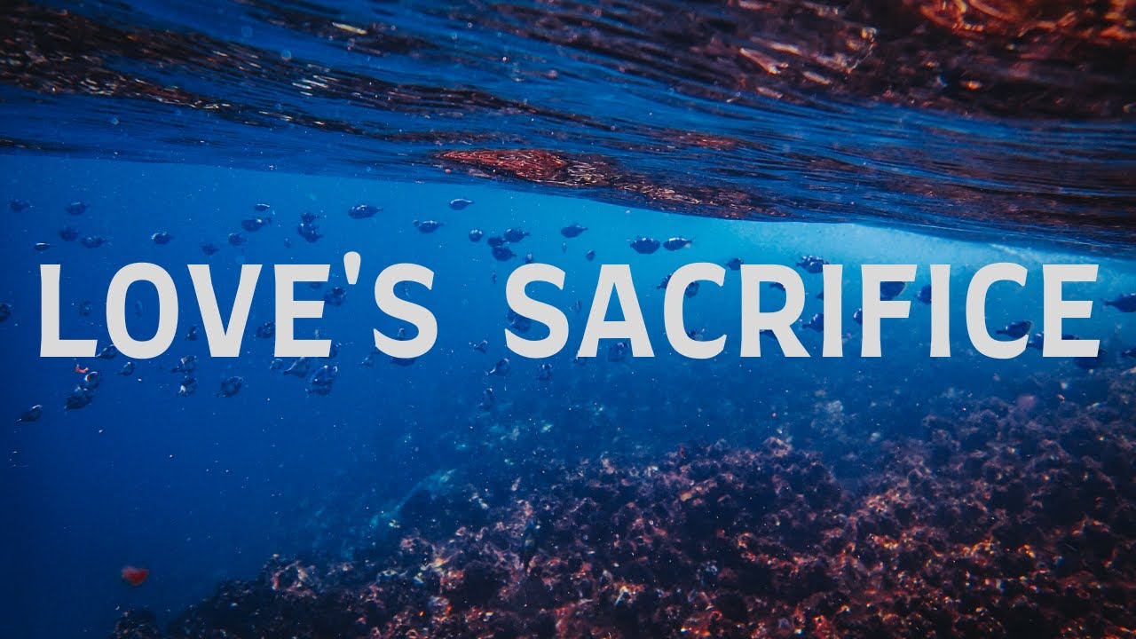Love's Sacrifice with Lyrics | New Creation Church/Worship