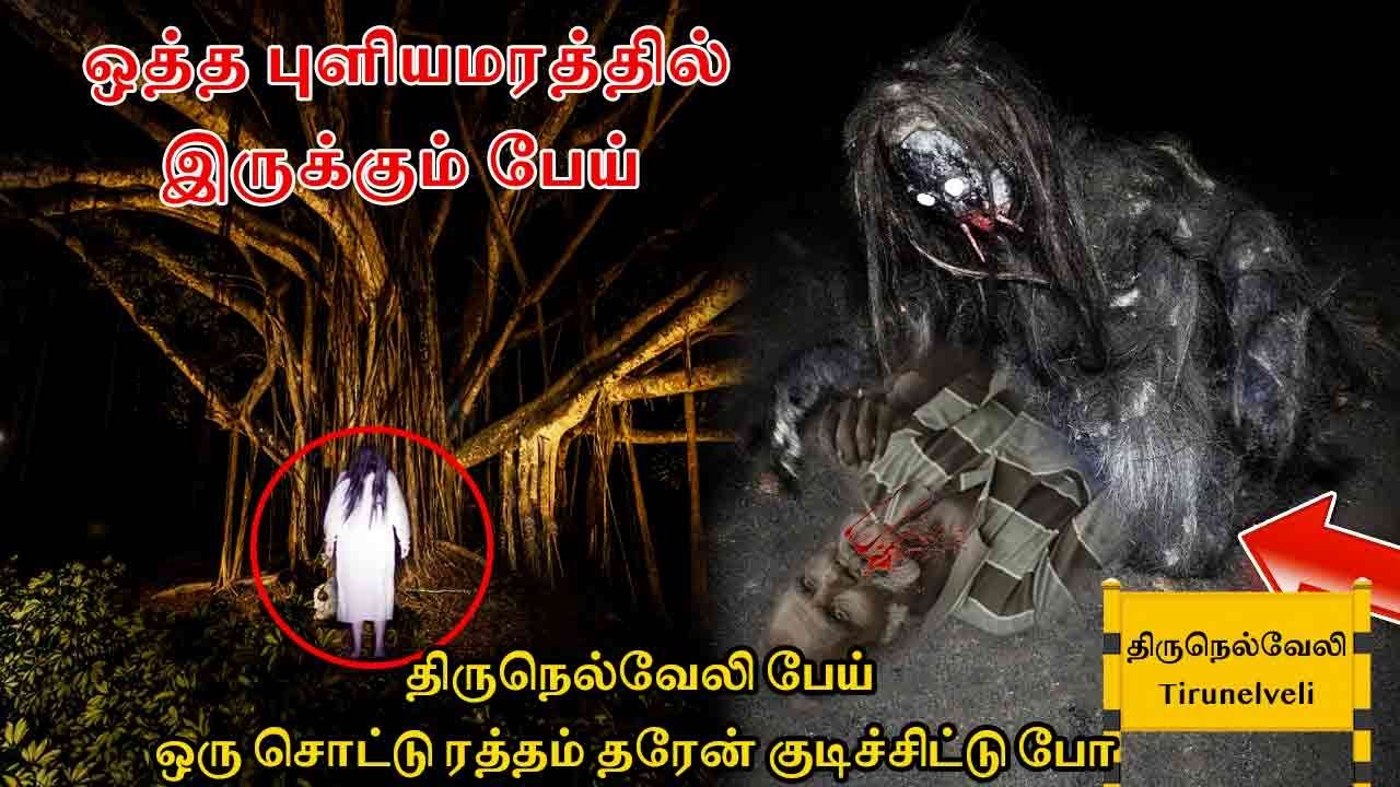 #திருநெல்வேலி பேய் | ஒரு சொட்டு ரத்தம் தரேன் குடிச்சிட்டு போ | #GhostIncident | back to rewind