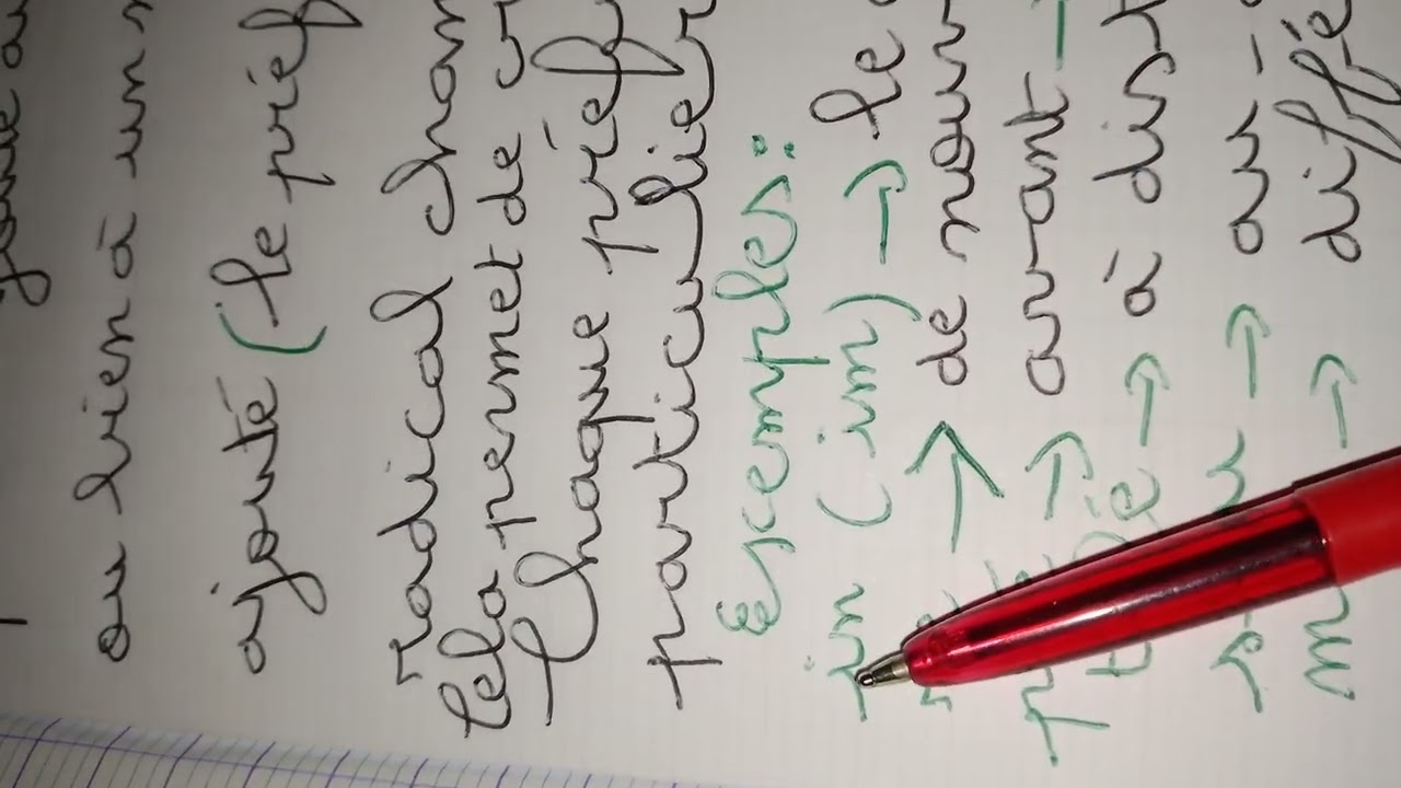 Vocabulaire : Les préfixes # comprendre facilement ses leçons 