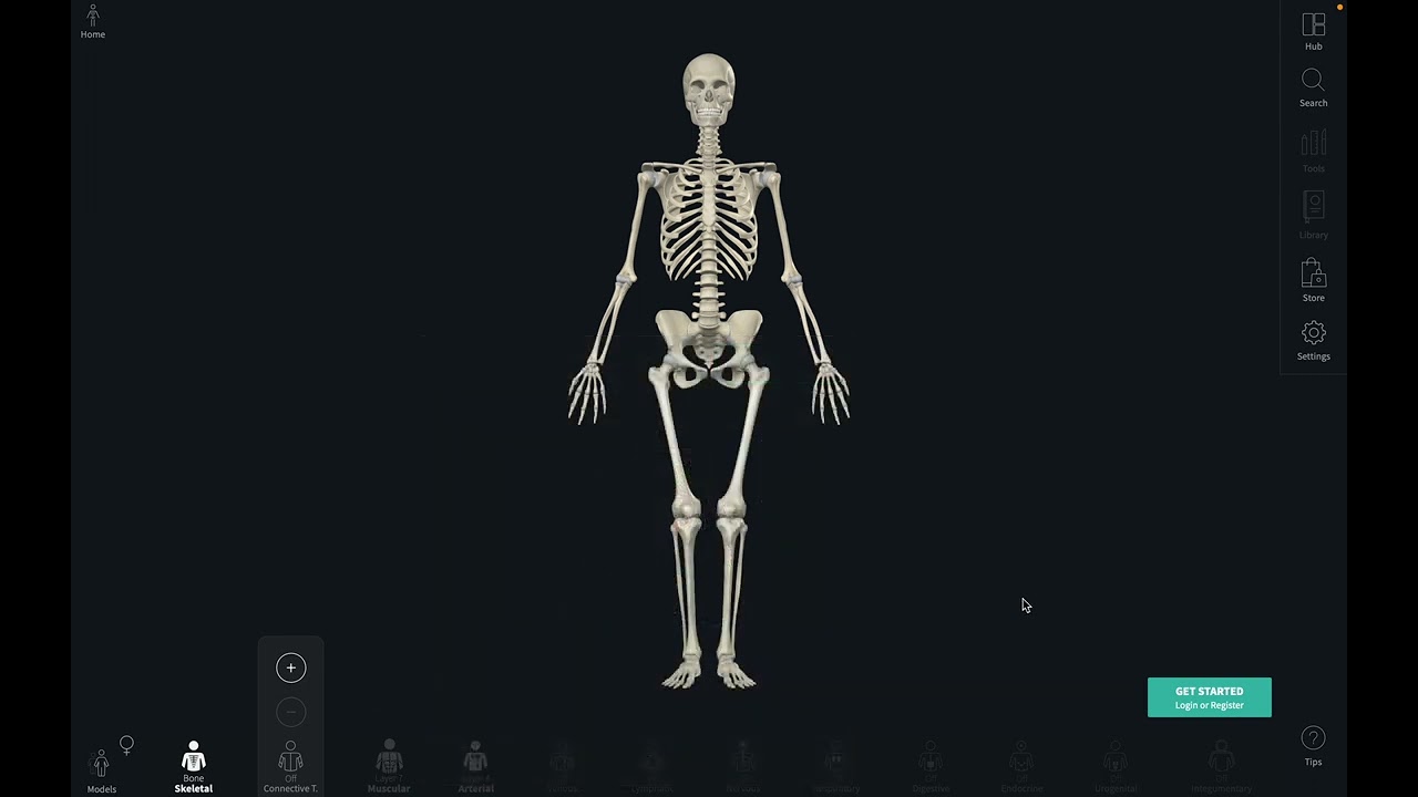how to get complete anatomy 23 for free