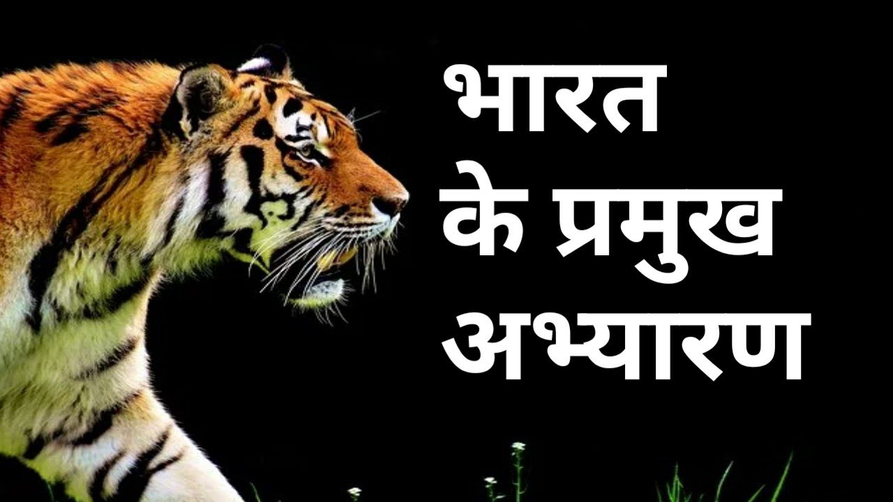 भारत के प्रमुख राष्ट्रीय उद्यान एवम् अभ्यारण ll National Park In India ll