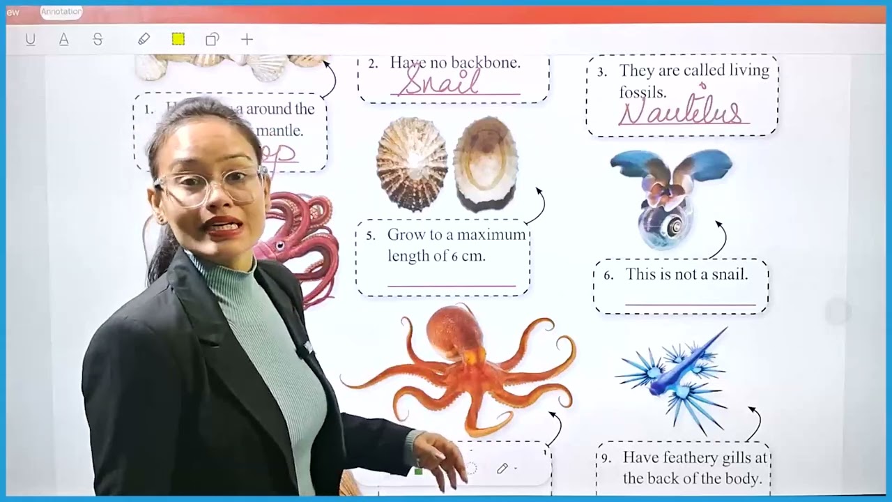 GK I Class 8 I Chapter 9 Marine life