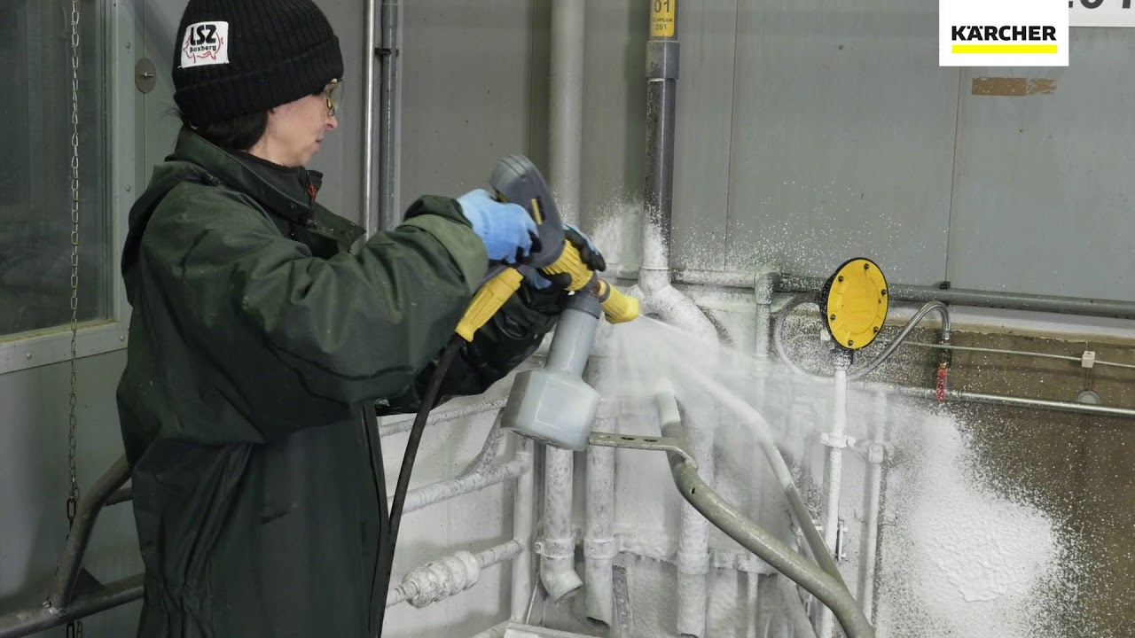 How To Clean A Pig Farm