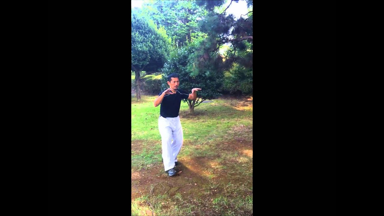 太気拳基本～練り・試力（太氣拳尚武館） Taikiken Shobu-kan Tochigi, Japan