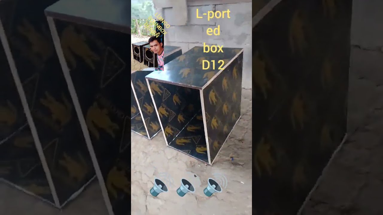 L-ported box d12 oversize