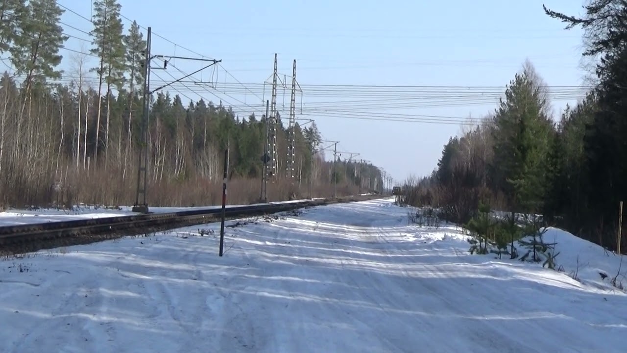 Alpha Trains / Hector Rail m tomma timmervagnar  Hade 20260310  kl 11.05