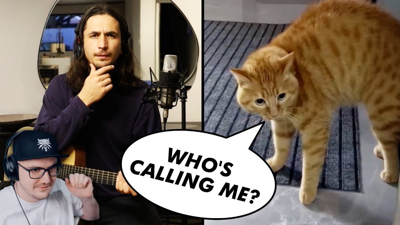 The Kiffness x Scary Cat - I Need Something (Singing Cat Song) | Реакция на заказ