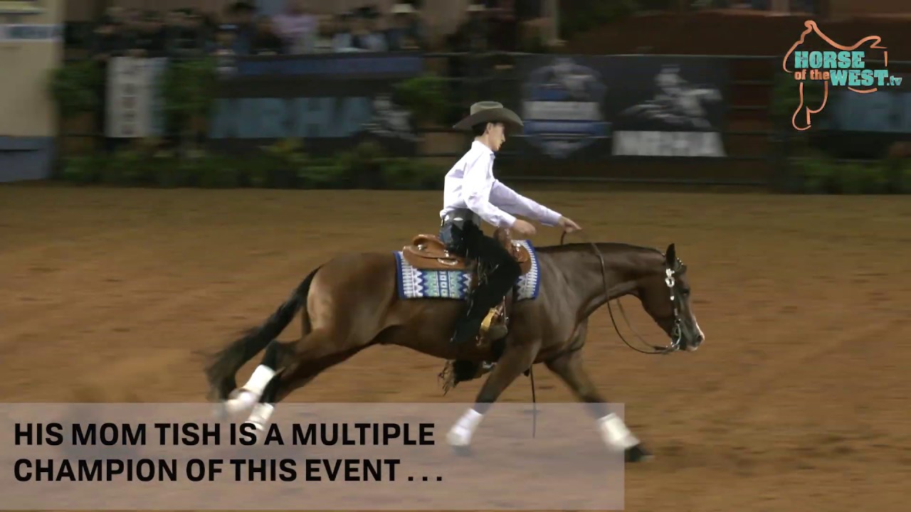 Dog jumps into arena on NRHA championship run .