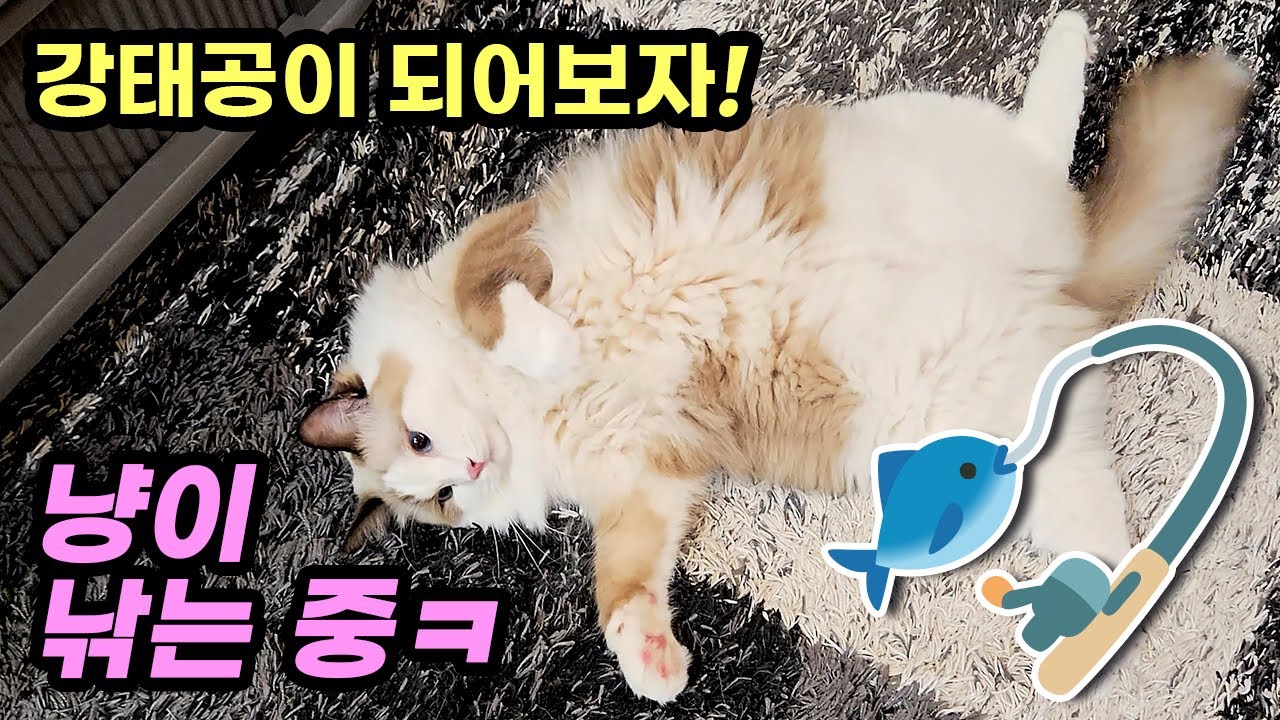 카스 낚기!! 낚시놀이🎣