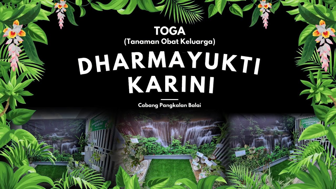 Tanaman Obat Keluarga (TOGA) Dharmayukti Karini Cabang Pangkalan Balai