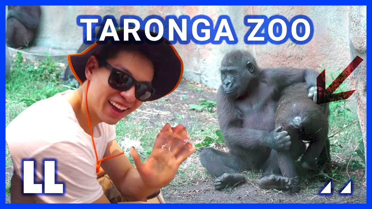 (자막) Taronga Zoo Day Trip I 4K Vlog | Sydney Australia