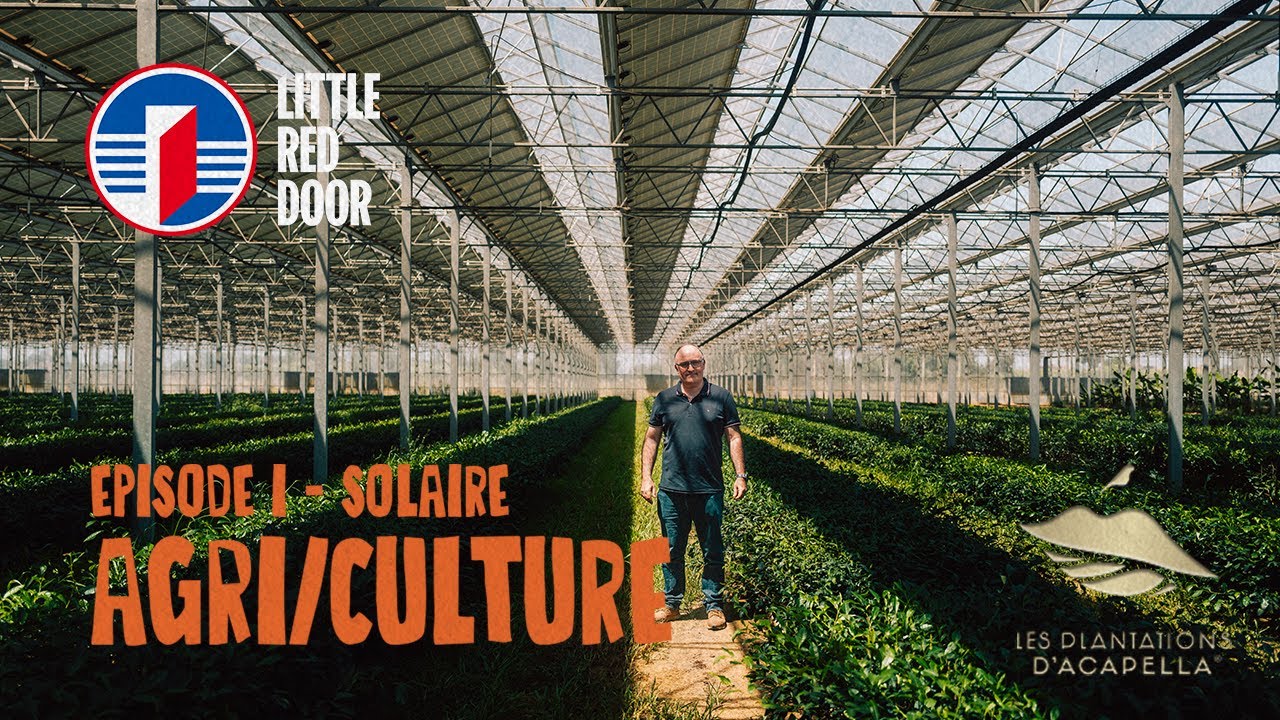 AGRI/CULTURE - SOLAIRE (with Jean-Marc Sanchez from Les Plantations d'Acapella)