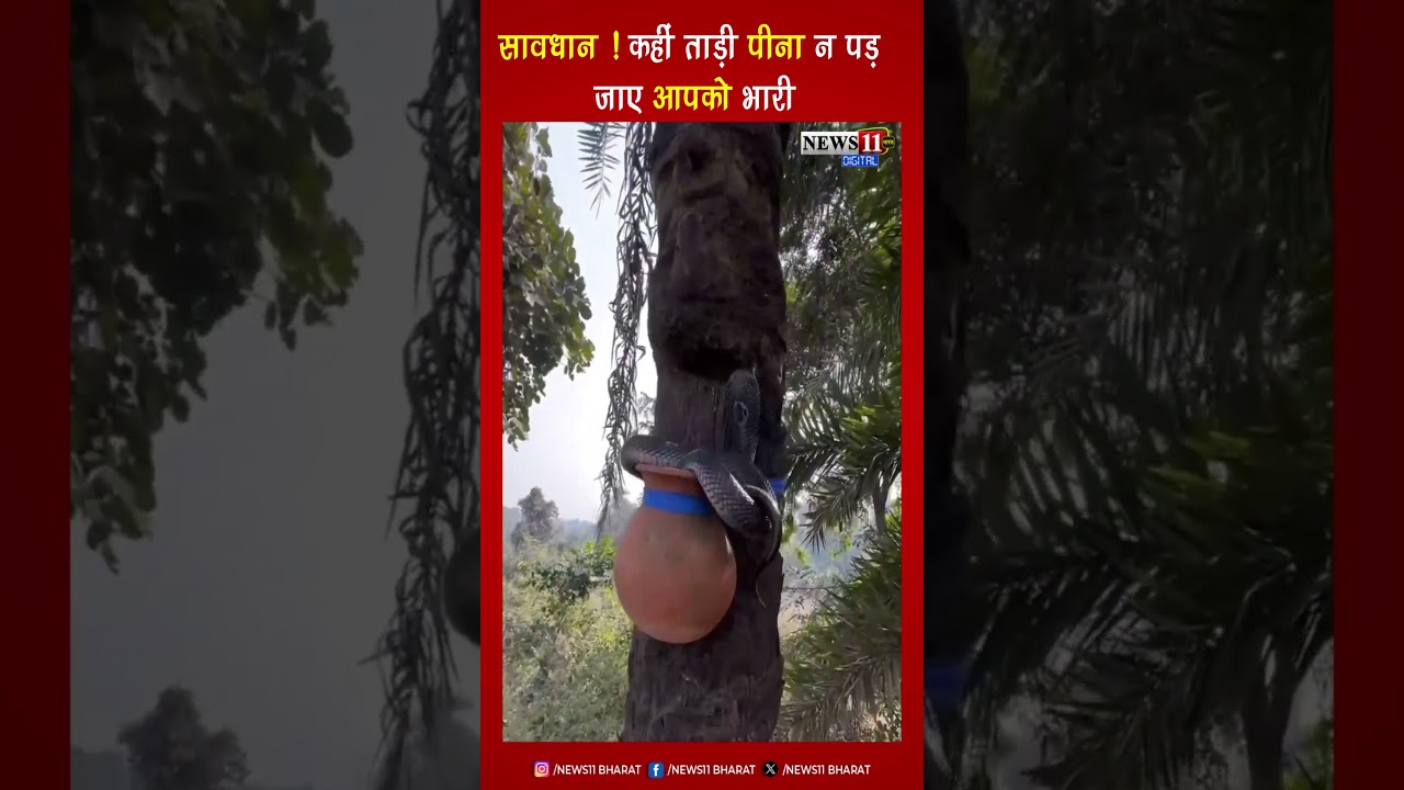 सावधान ! कहीं ताड़ी पीना न पड़ जाए आपको भारी