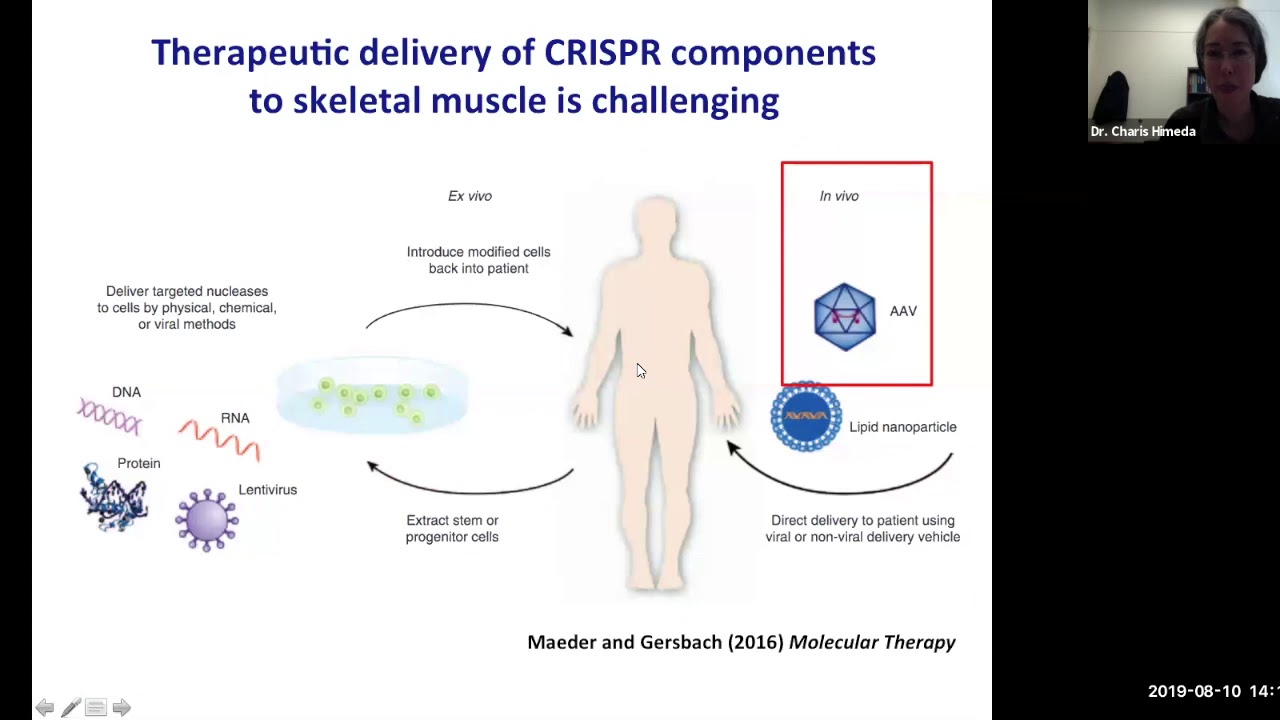 FSHD Society webinar on CRISPR and FSH muscular dystrophy with Charis Himeda