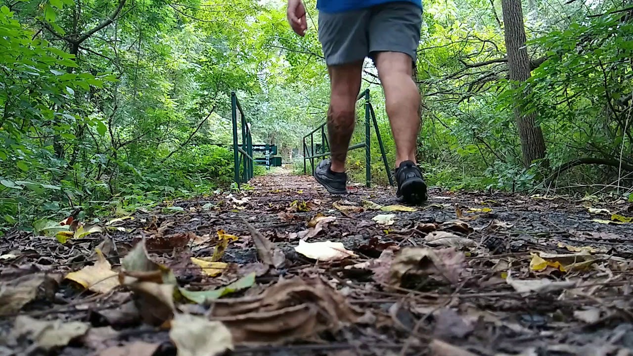 Long Island Greenbelt trail section hike