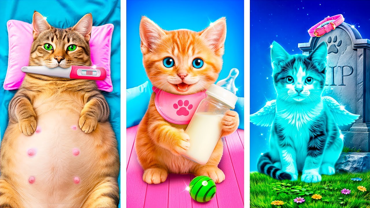 Ich habe eine winzige Katze adoptiert! Geheime Life-Hacks f&uuml;r Haustierbesitzer!