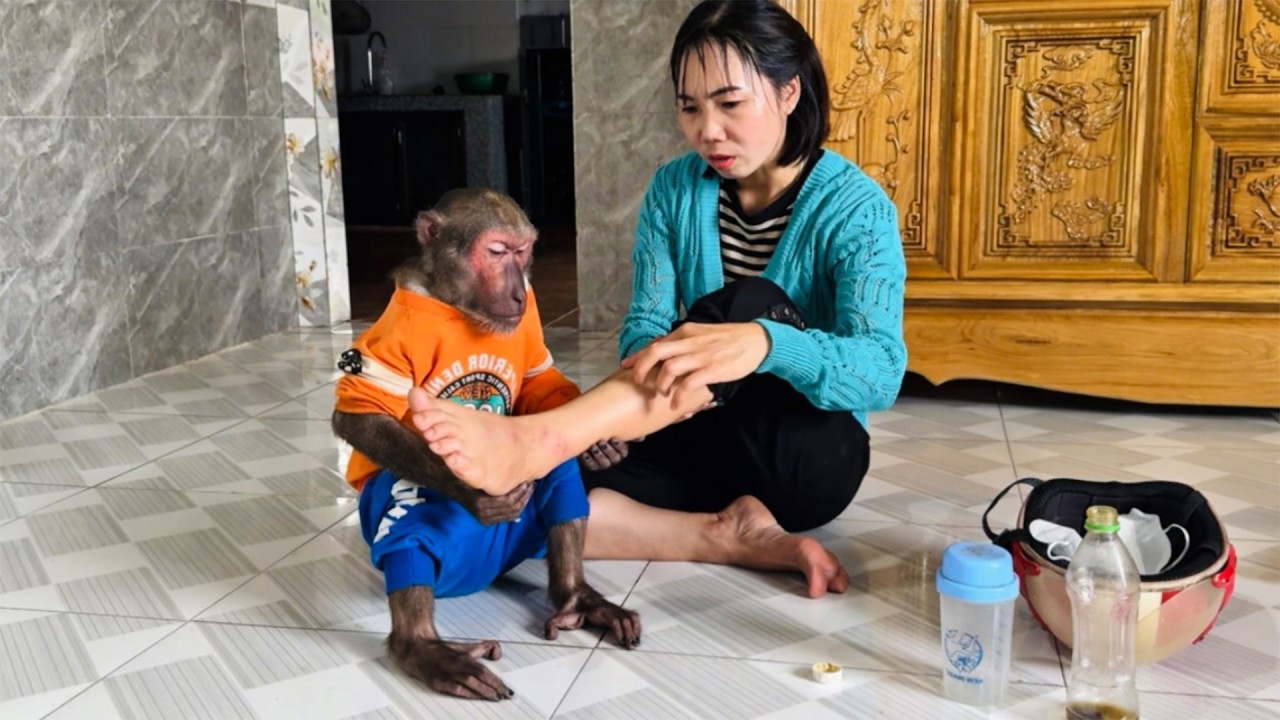 Abu Becomes Deeply Worried when Mom in Unfortunate Situation