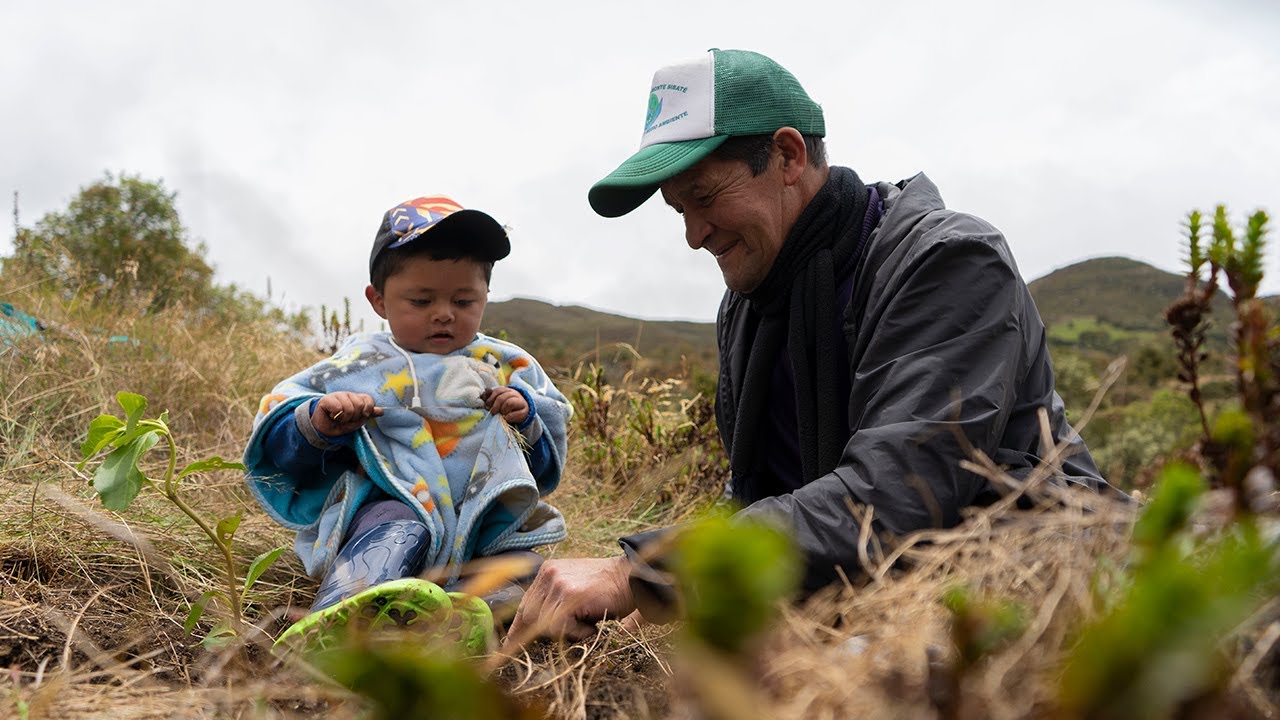&iquest;C&oacute;mo es vivir en un p&aacute;ramo? Descubre estos territorios