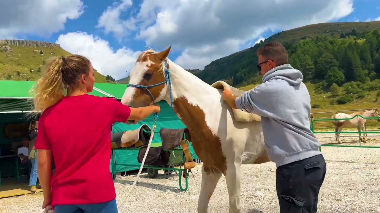 LESSINIA - Mountains of Verona, sports and adventures