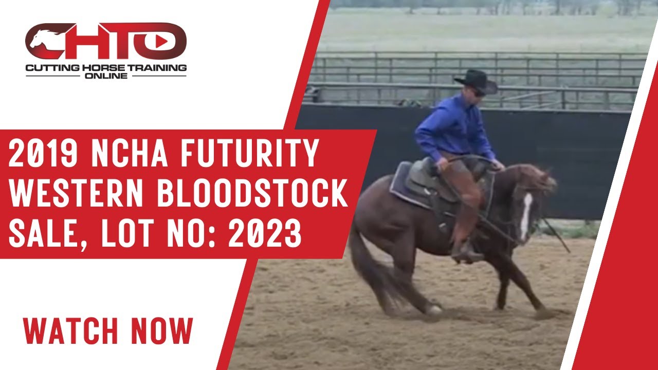 2019 NCHA Futurity Western Bloodstock Sale, Lot No: 2023